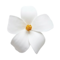 Pure Magnolia  - Artisan Couture  Broş  | JAYA