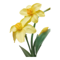 Golden Daffodil  - Artisan Couture  Broş  | JAYA