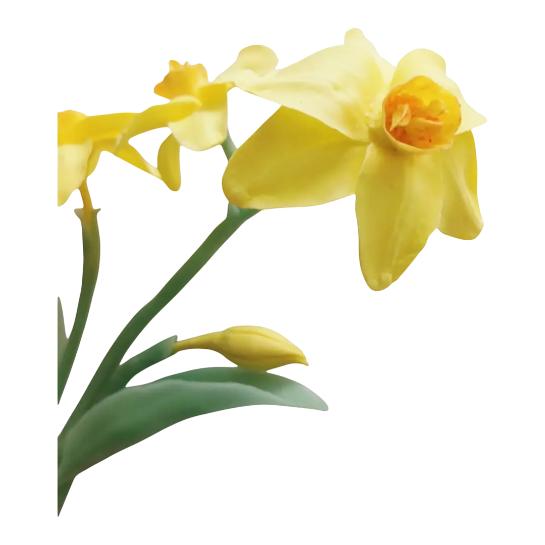 Golden Daffodil  - Artisan Couture  Broş  | JAYA