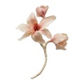 Blush Magnolia  - Artisan Couture  Broş  | JAYA