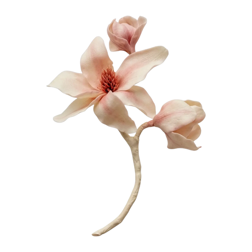 Blush Magnolia  - Artisan Couture  Broş  | JAYA