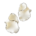 Ivory Petal Contour – Siyah Çerçeveli Krem Yaprak El Yapımı Küpe