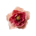 Blush Peony  - Artisan Couture  Broş  | JAYA
